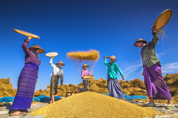 Photograph Kyaw Zay Yar Lin Myanmar Farmer Life on One Eyeland