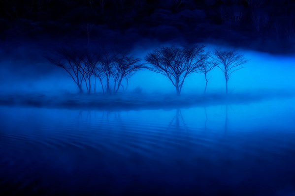 Photograph Daiyu Moko Deep Sea on One Eyeland