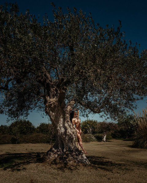 Photograph Martin Krystynek Summer on One Eyeland