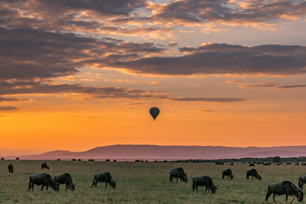 Photograph Antony Trivet Sunrise Hot Air Balloon Wildebeest Greatest Migration Panoramic Scenic Views on One Eyeland