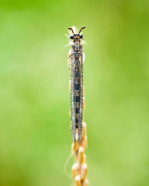 Photograph Aji George Mynagapally Nature on One Eyeland