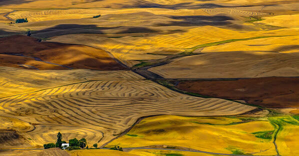 Photograph Benny Chung After Harvest on One Eyeland