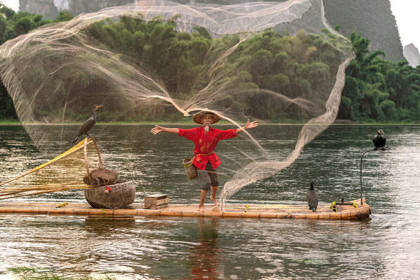 Photograph Liza Kirina Fishermaen And His Cormorants on One Eyeland