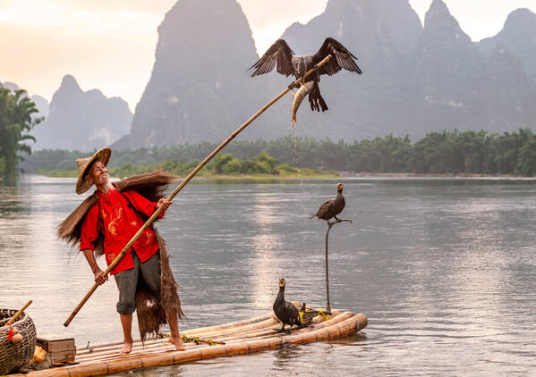 Photograph Liza Kirina Cormorant Fishing on One Eyeland