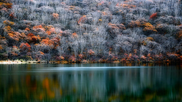 Photograph Daiyu Moko Autumn Breath on One Eyeland