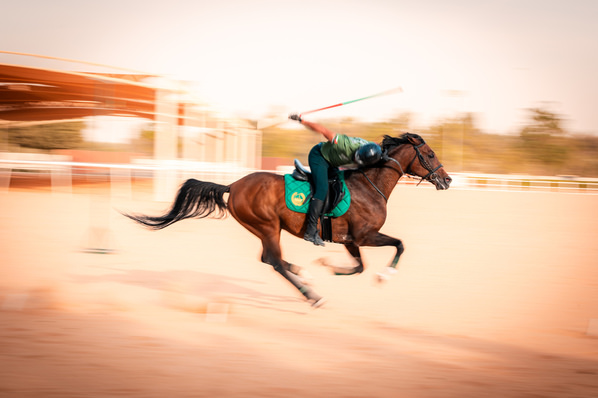 Photograph Sherif Abouelnasr Fly High on One Eyeland