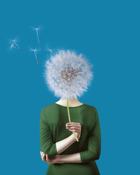 Photograph Alena Ivochkina Dandelion on One Eyeland