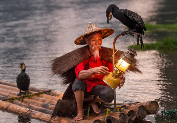 Photograph Liza Kirina Evening Fishing With Cormorant on One Eyeland