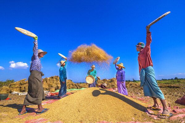 Photograph Kyaw Zay Yar Lin Life Of Farmer on One Eyeland