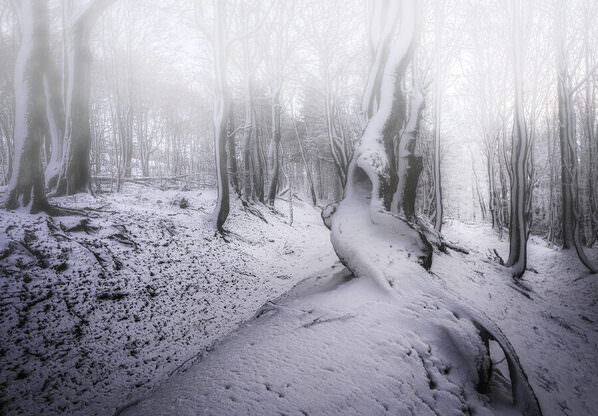 Photograph Jana Zeithammerova Lonly on One Eyeland