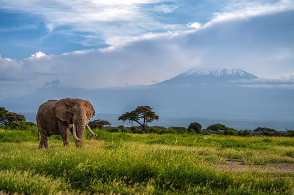 Photograph Hari Kumar P Heaven Of Elephants on One Eyeland