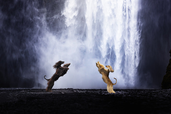 Photograph Sylv Lettal Iceland Dance on One Eyeland