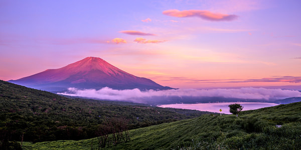 Photograph Aliace Uesan Red Fuji on One Eyeland