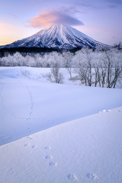 Photograph Yuusei Nagahata Where Do The Footprints In The Snow Go on One Eyeland