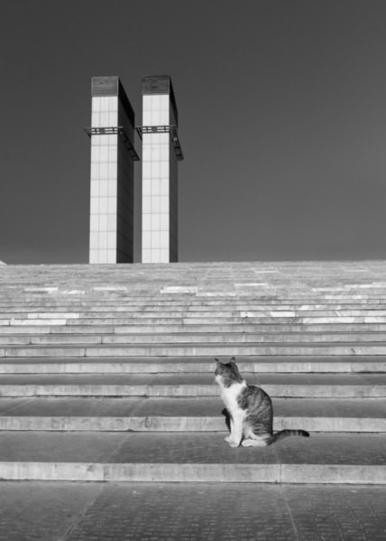 Photograph Shahram Hafezi In The Thought Of Power on One Eyeland