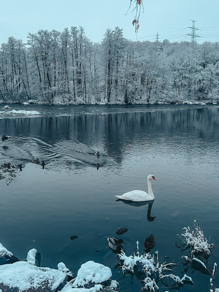Photograph Tatiana Chernaletskaya Winter Morning on One Eyeland