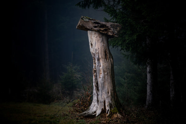 Photograph Ella Schnur Art Guardian Of Virtues on One Eyeland