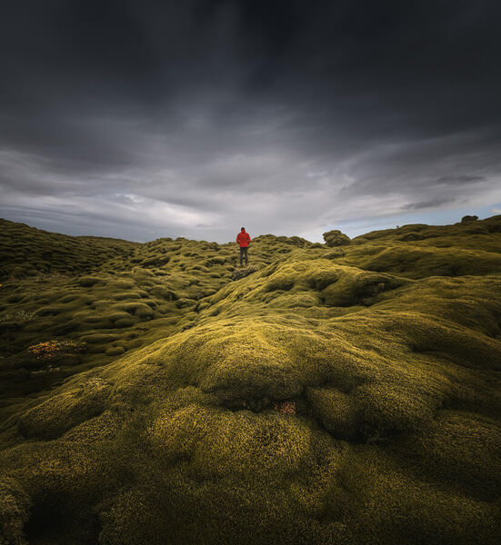 Photograph Zita Karádi Red Jacket Man In The Mossy Field on One Eyeland