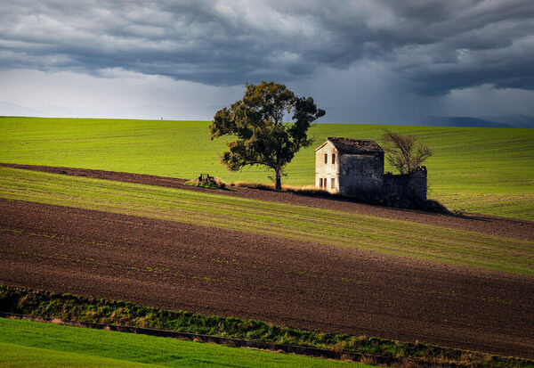 Photograph Luigi Greco Nature on One Eyeland