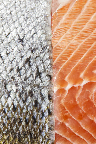 Photograph Benjamin Cole Salmon on One Eyeland