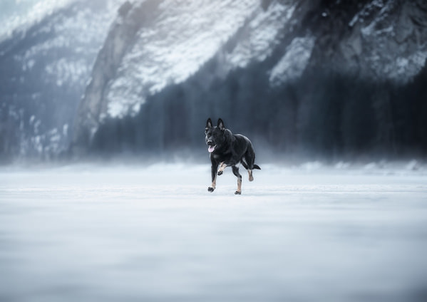 Photograph Laura Quintanel Desert Hivernal on One Eyeland