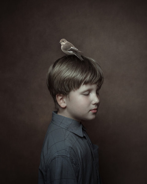 Photograph Diana Burdein Bird on One Eyeland