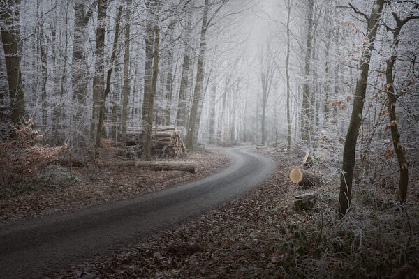 Photograph Benjamin Hoeger Rime on One Eyeland
