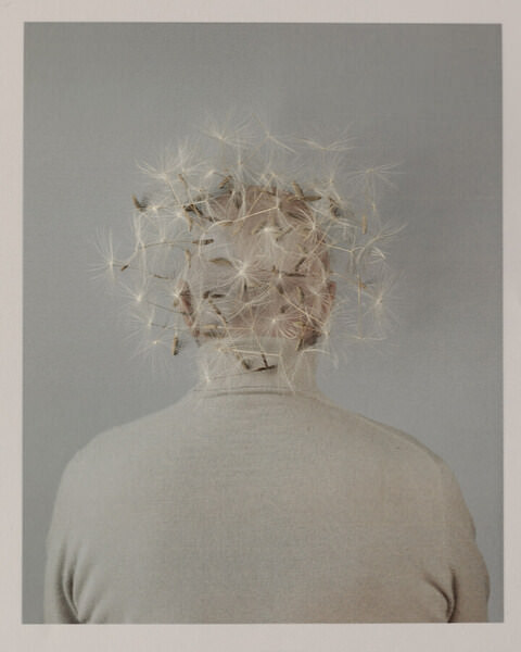 Photograph Elsie Hagen Dandelion on One Eyeland