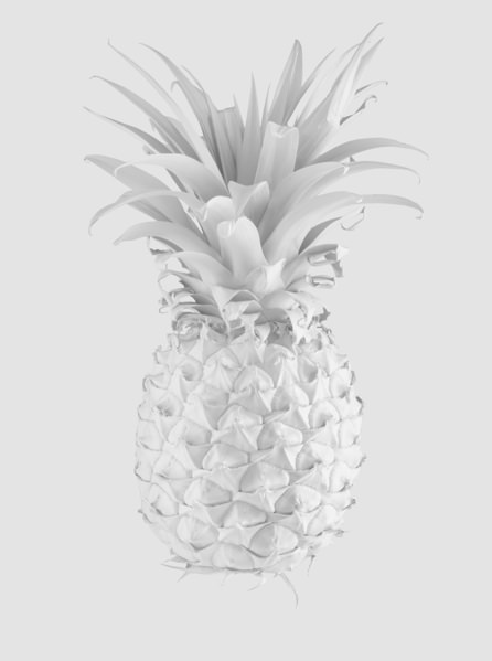 Photograph Benjamin Cole Pop Pineapple White on One Eyeland