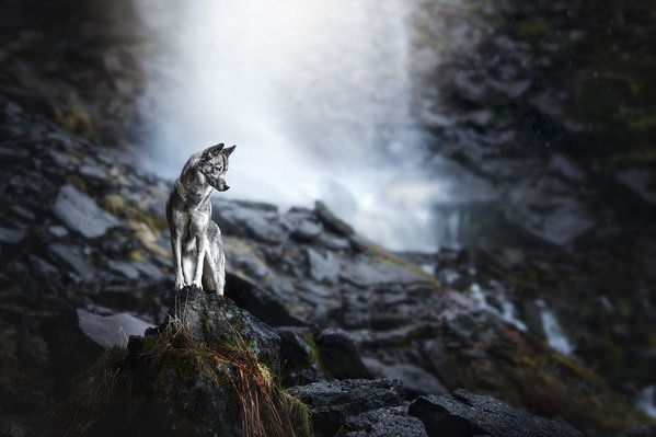 Photograph Laura Quintanel Le Murmure Des Eaux on One Eyeland