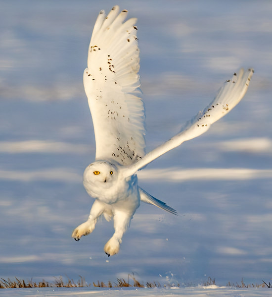 Photograph Benny Chung Take Off on One Eyeland
