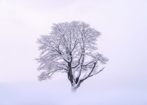 Photograph Yuusei Nagahata Withstand Cold Wind on One Eyeland