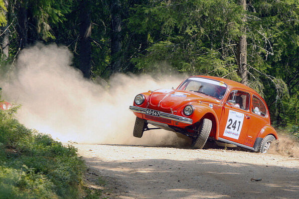 Photograph Jari Kohonen Beetle on One Eyeland