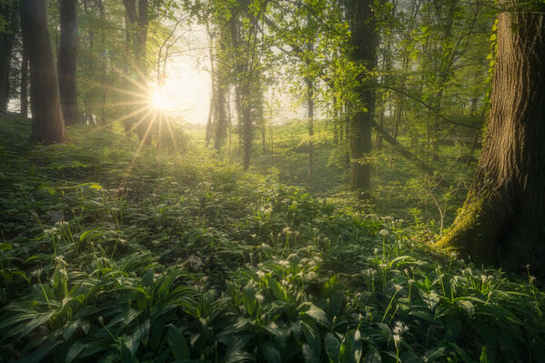 Photograph Benjamin Hoeger Fairytale Sunrise on One Eyeland