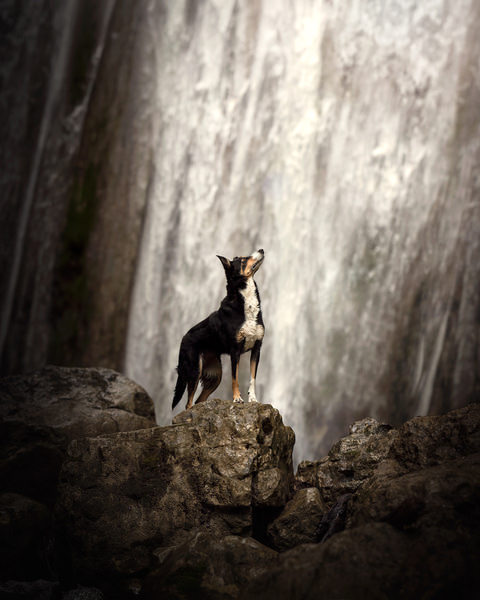 Photograph Laura Quintanel La Reine on One Eyeland