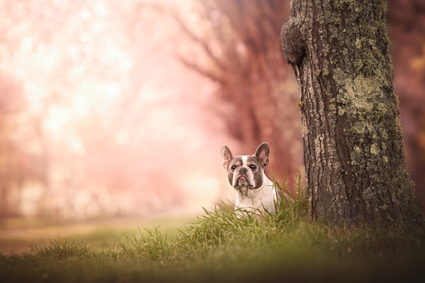 Photograph Laura Quintanel Printemps Colore on One Eyeland