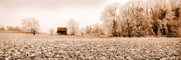 Photograph Claude Bossel The Lonely Farm House on One Eyeland