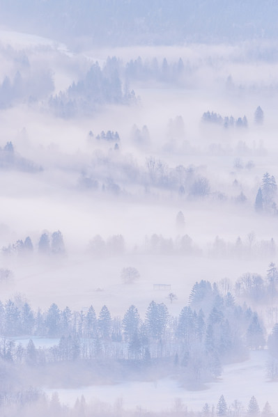 Photograph Tomoaki Katsuba Misty Meadow on One Eyeland