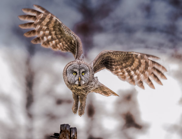 Photograph Benny Chung Take Off on One Eyeland