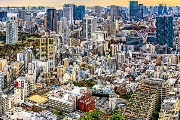 Photograph Gary E Karcz Tokyo on One Eyeland