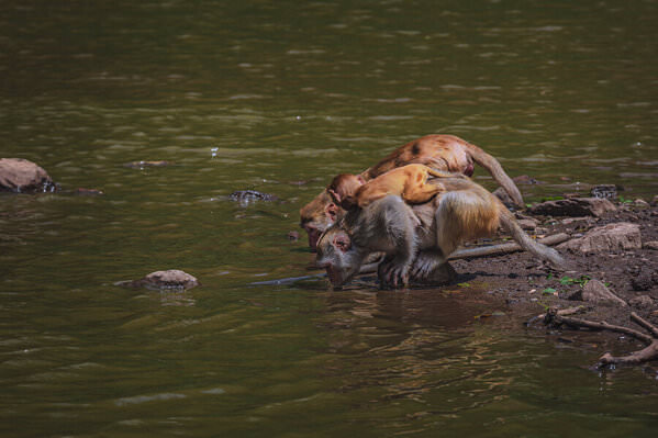 Photograph Kyaw Zay Yar Lin Drinking on One Eyeland