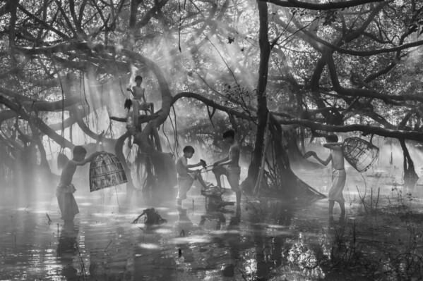 Photograph Kyaw Zay Yar Lin Life In Forest on One Eyeland
