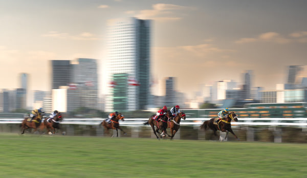 Photograph Luiz Paulo Grinberg Horse Racing on One Eyeland