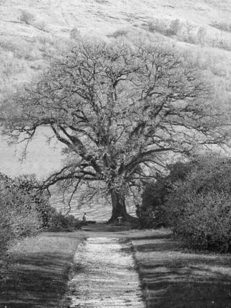 Photograph Taymuraz Gumerov Scotland on One Eyeland