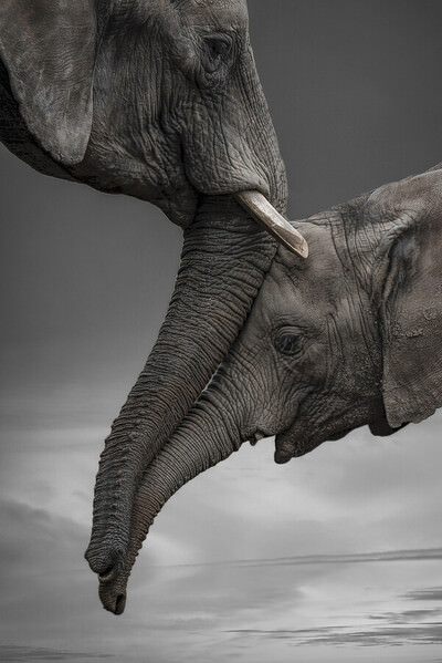 Photograph Jesus Frias Dia De La Madre on One Eyeland