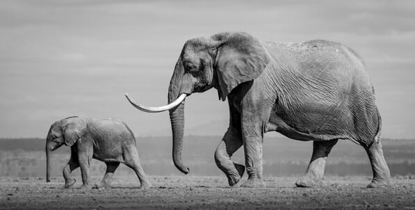 Photograph Alessandro Marena Leaning The Ways Of The Ancestors on One Eyeland