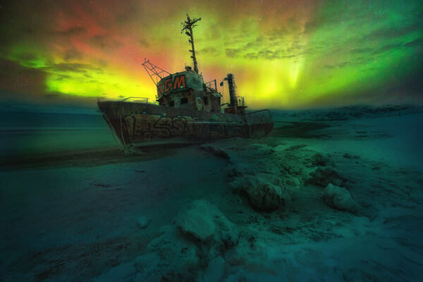 Photograph Alex Kotlov Lone Survival on One Eyeland