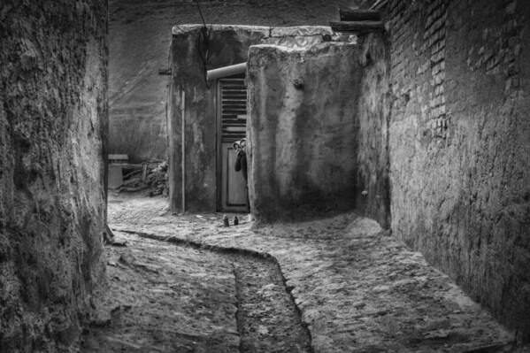 Photograph Bogdan Timiras Shyness on One Eyeland