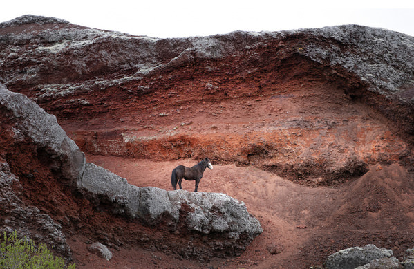 Photograph Penny York Red Rock 1 on One Eyeland