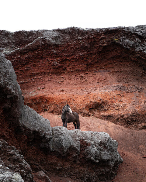 Photograph Penny York Red Rock Ii on One Eyeland
